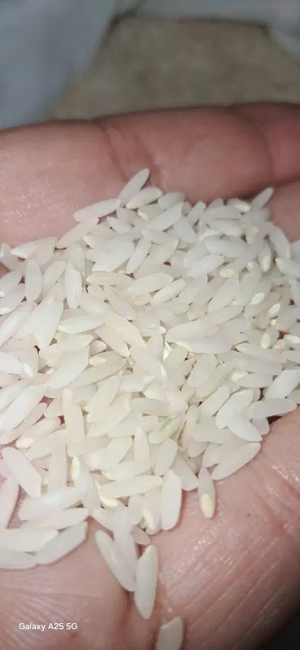 برنج طارم فقط۱۹۸تومان|خوردنی و آشامیدنی|تبریز, |دیوار