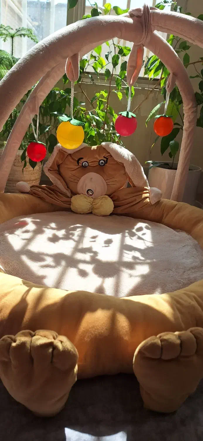 یک هدیه خاص|تخت و صندلی بچه|کاشان, فاز ۲ ناجی آباد|دیوار