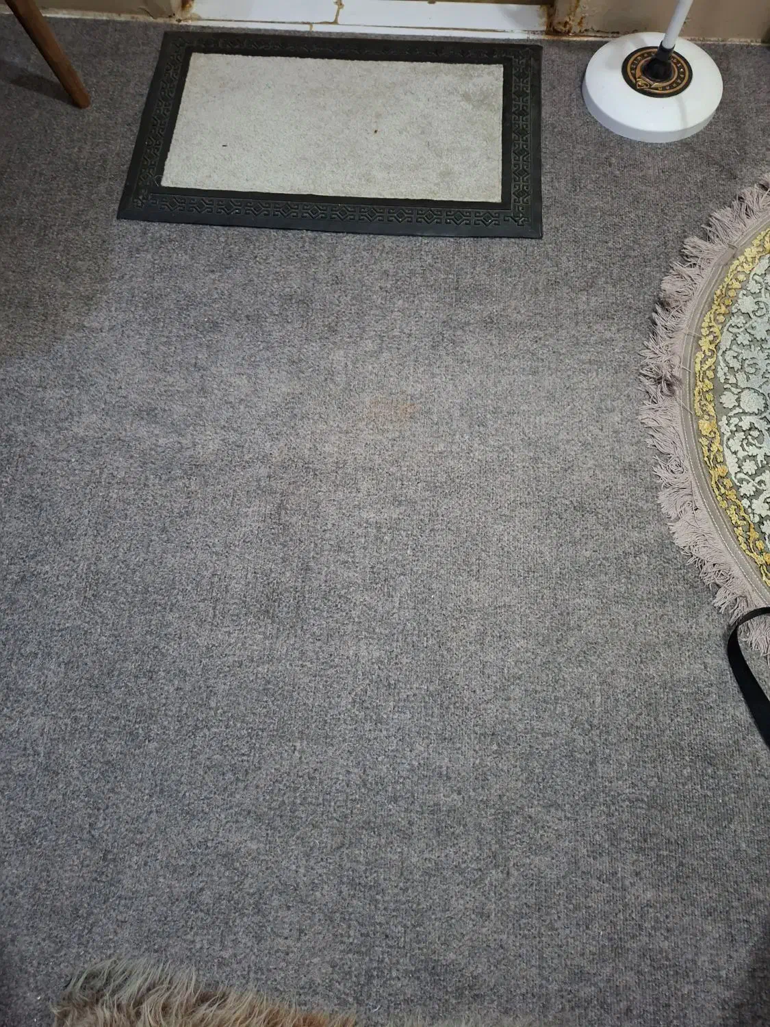 موکت نو|موکت|اهواز, نیوساید|دیوار