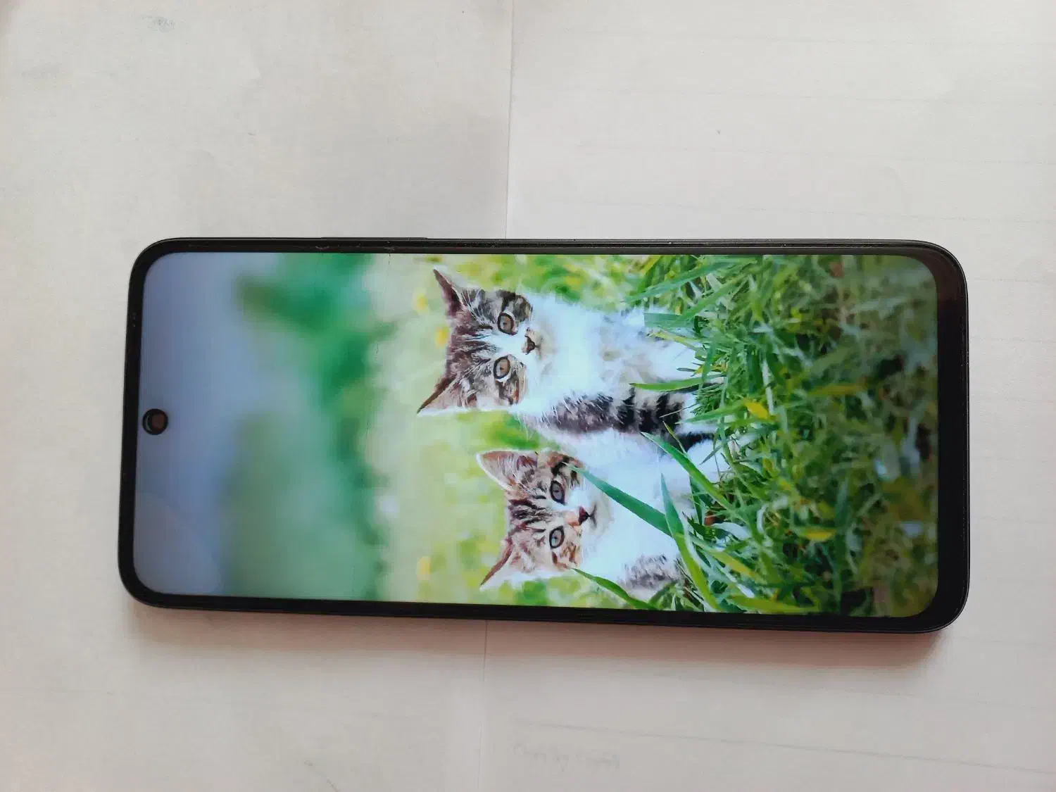 گوشی شیائومی ردمی 12|موبایل|کرمان, |دیوار