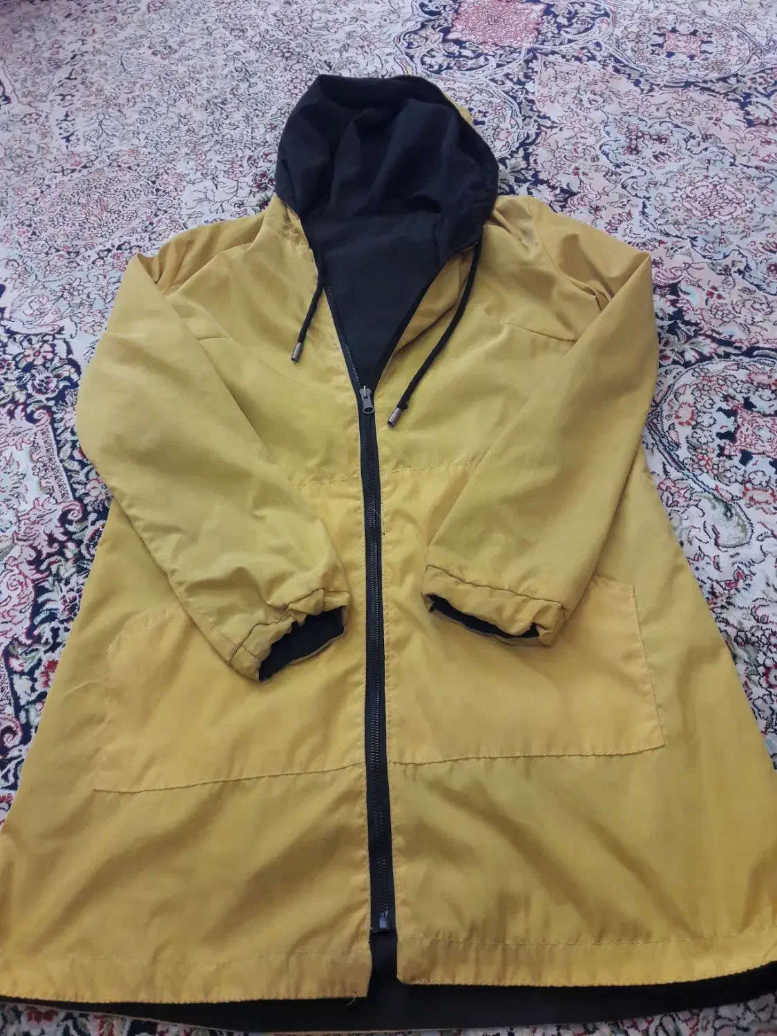 پالتو|لباس|کرج, کوی امامیه|دیوار