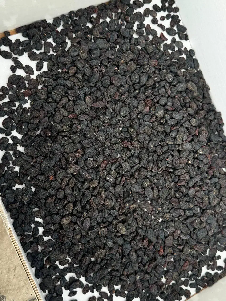 مویز افغان|عمده‌فروشی|مشهد, کارمندان دوم|دیوار