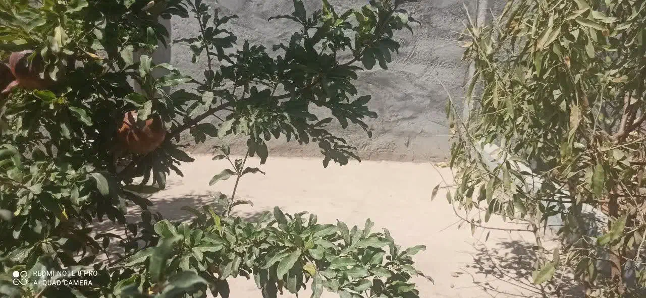 باغ|فروش خانه و ویلا|نجف‌آباد, جلال آباد|دیوار