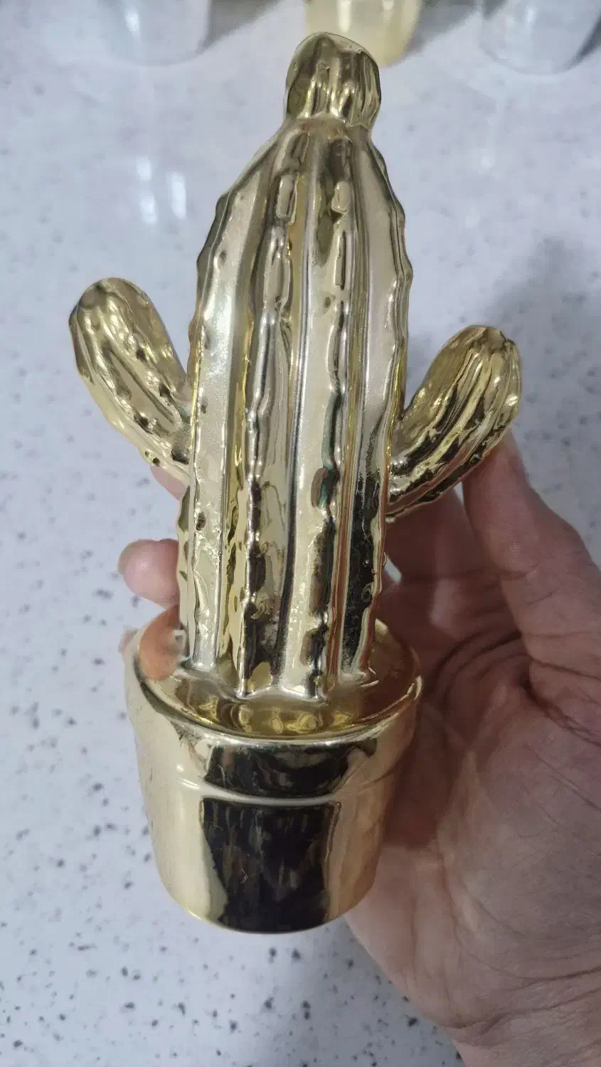 کاکتوس تزئینی|مجسمه، تندیس، ماکت|اهواز, سپیدار|دیوار