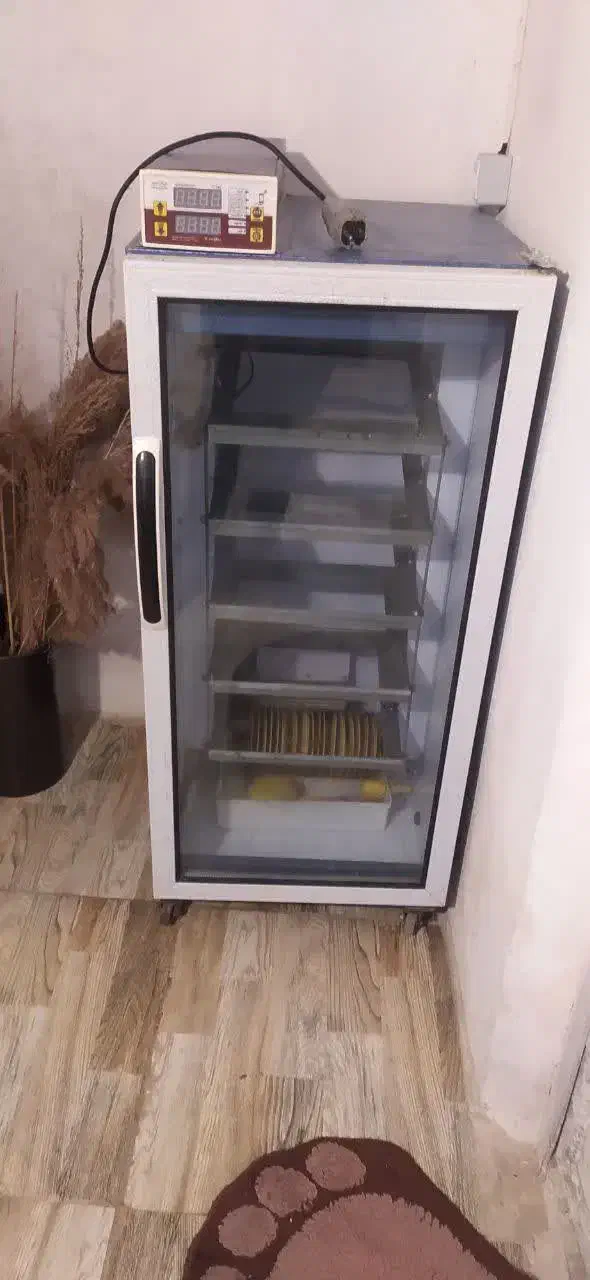 دستگاه جوجه کشی|لوازم جانبی حیوانات|شفت, |دیوار