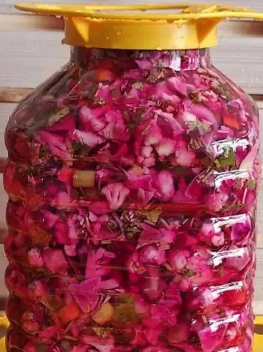 خیارشور ترشی خانگی|خوردنی و آشامیدنی|تهران, شمیراننو|دیوار