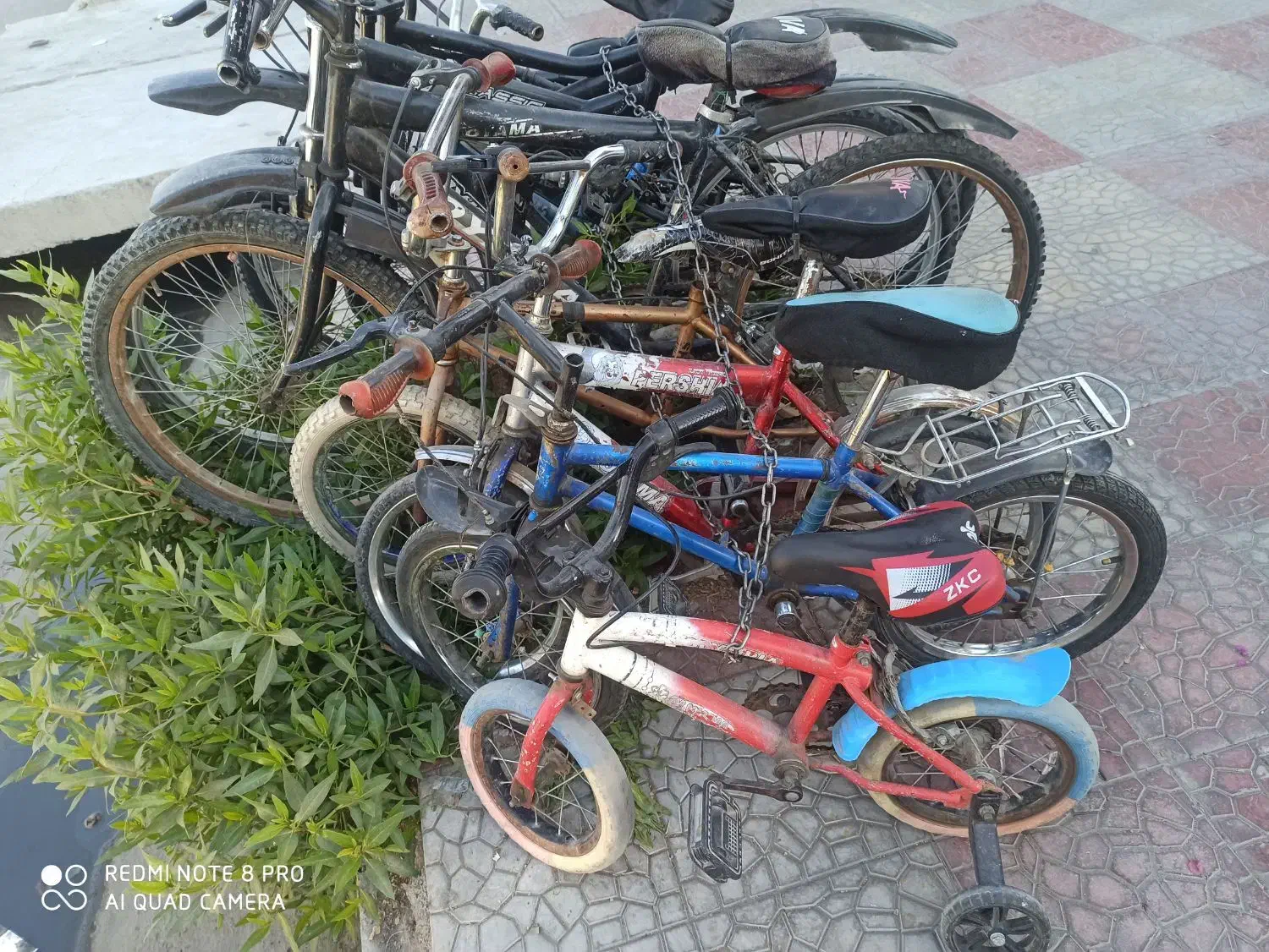 دوچرخه ازکوچک تابزرگ سالم|دوچرخه، اسکیت، اسکوتر|جهرم, |دیوار