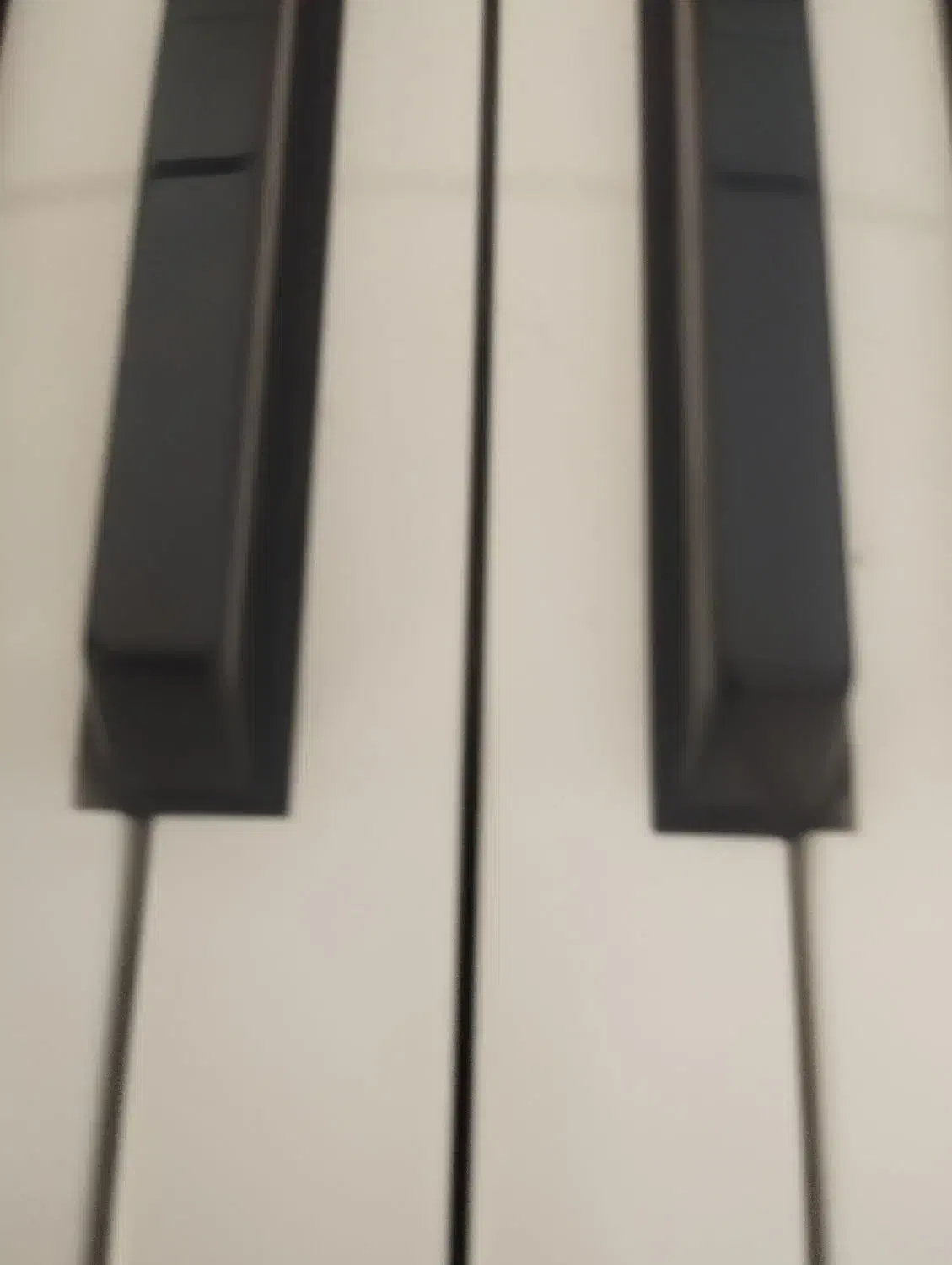 ارگ pa3le|پیانو، کیبورد، آکاردئون|لار, |دیوار