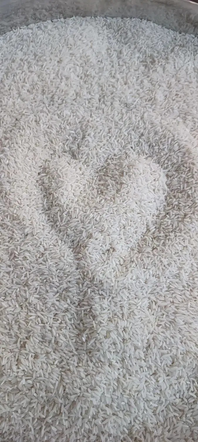 برنج کشت دوم (جگل)فریدونکنار عطری|خوردنی و آشامیدنی|مشهد, طبرسی شمالی|دیوار