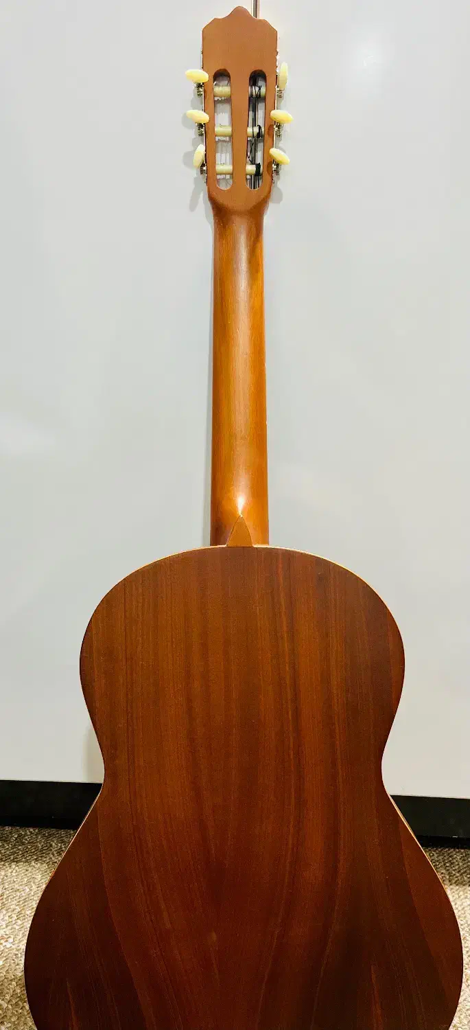 گیتار پارسیان سالم و خوشصدا با کیف و پیک|گیتار، بیس، امپلیفایر|امیدیه, |دیوار