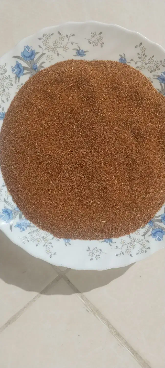 خاکشیر بش محلی|خوردنی و آشامیدنی|شیراز, میانرود|دیوار