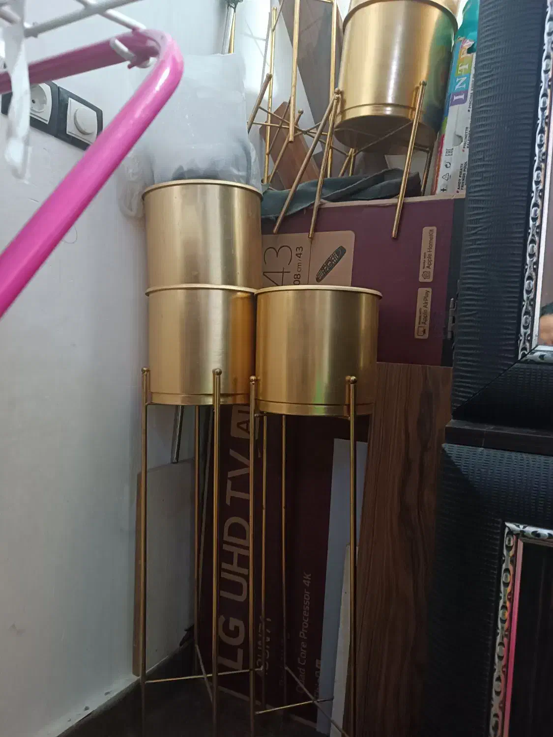 گلدان طلایی|گل و گیاه طبیعی|اهواز, کوی بشارت|دیوار