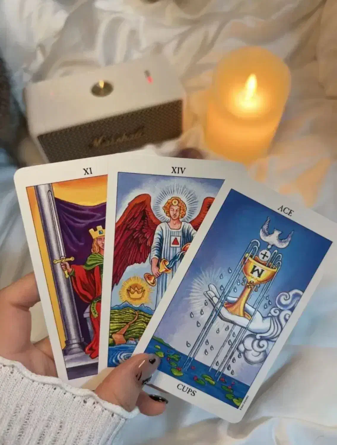 فال کائنات|خدمات پذیرایی، مراسم|ماکو, |دیوار