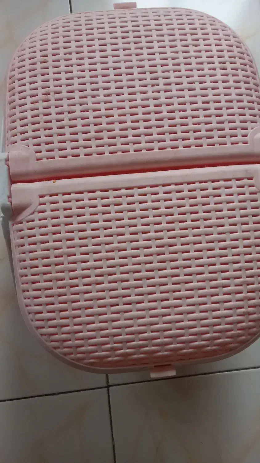 سبد پیکنیک|ظروف نگهدارنده، پلاستیکی، یکبارمصرف|رشت, چمارسرا|دیوار