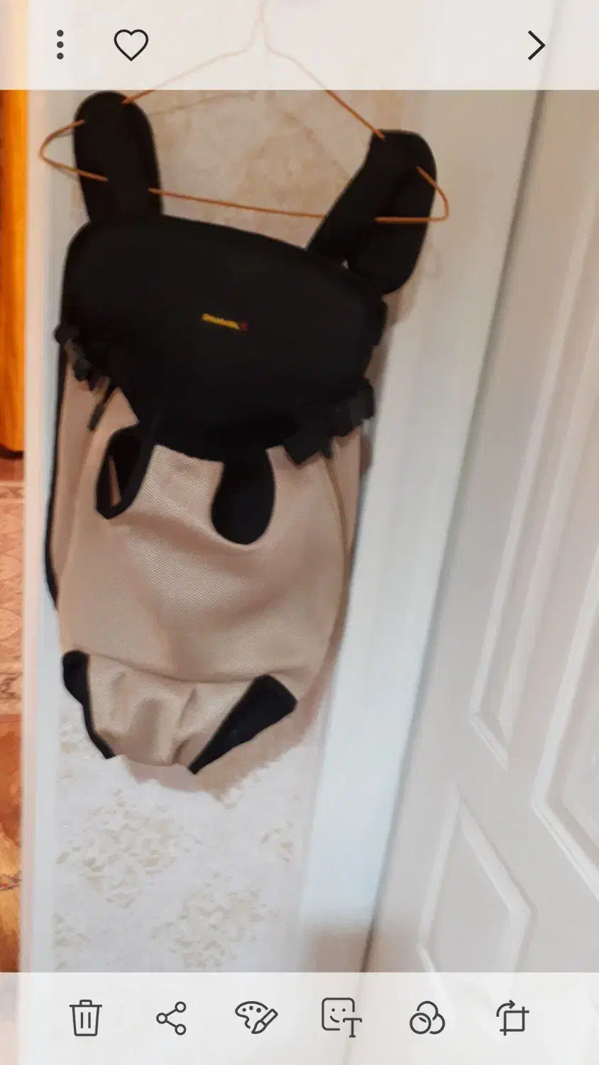 آغوشی سگ وگربه|لوازم جانبی حیوانات|چالوس, |دیوار