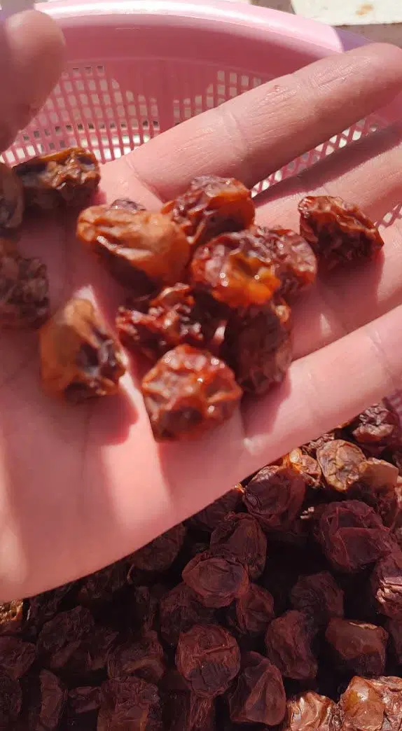 الو|خوردنی و آشامیدنی|شیروان (خراسان), |دیوار