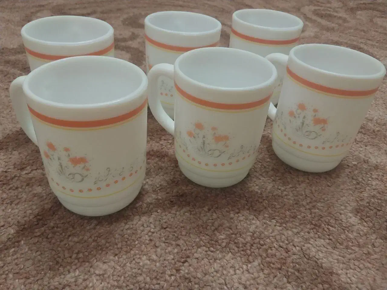 ظروف و لیوان چینی و ارکپال|ظروف سرو و پذیرایی|جهرم, |دیوار