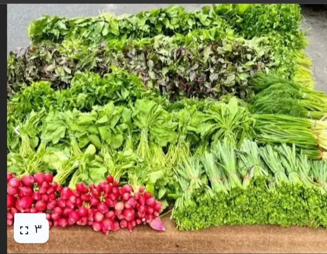 سبزی خوردن دسته ای|خوردنی و آشامیدنی|تهران, کیانشهر|دیوار