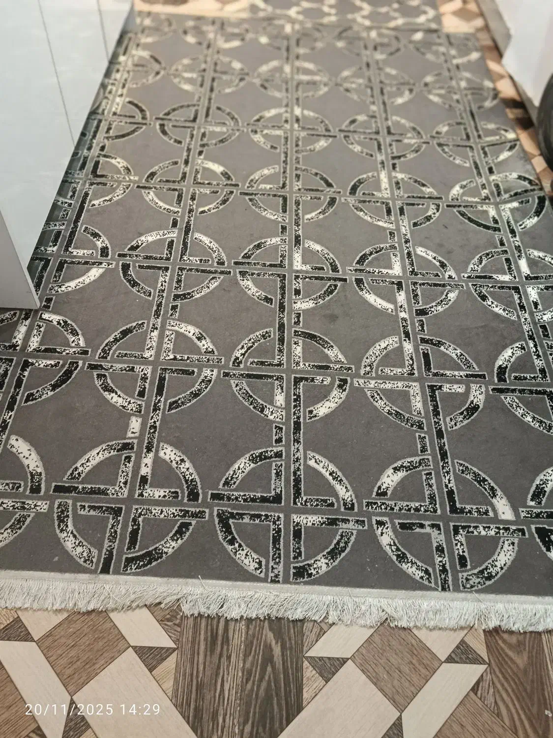 فرش آشپزخانه|گلیم، جاجیم، گبه|مشهد, همت آباد|دیوار