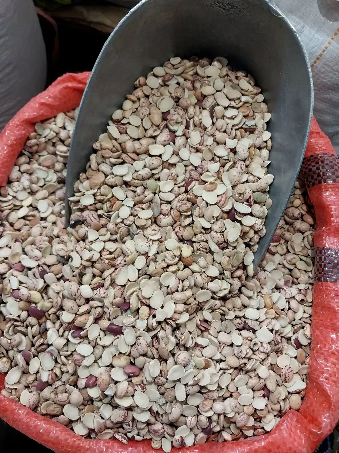 لوبیا *شکسته* چیتی *ایرانی* نصفه مناسب آش شله|خوردنی و آشامیدنی|مشهد, امامیه (شهرک غرب)|دیوار