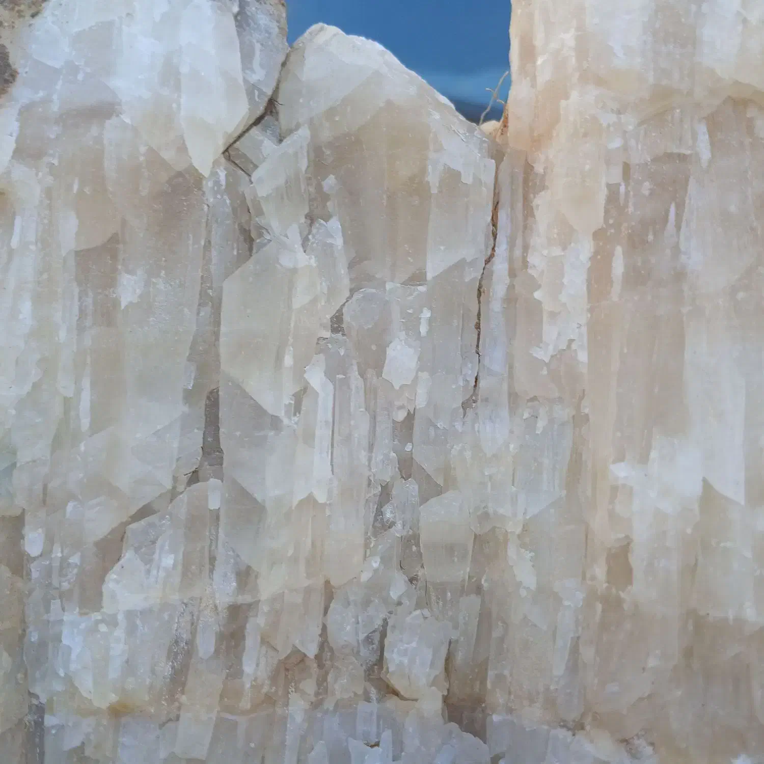 سنگ اکواریوم|ماهی|بروجرد, |دیوار