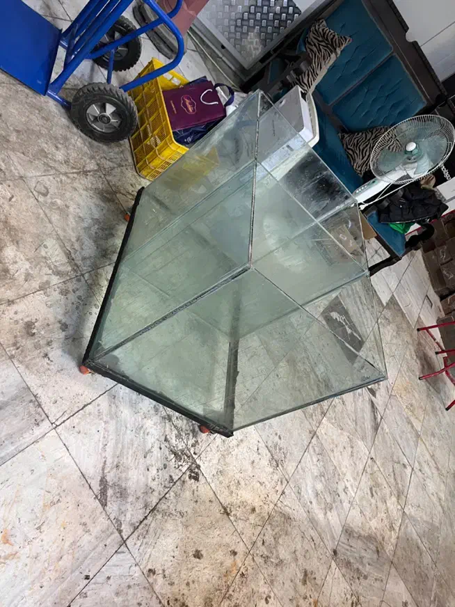 اکواریوم|ماهی|خرم‌آباد, |دیوار