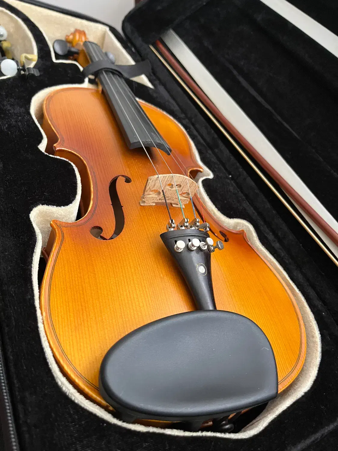 ویولن TF142اصلی با شناسنامه و لوازم کامل|ویولن|شیراز, ارم|دیوار