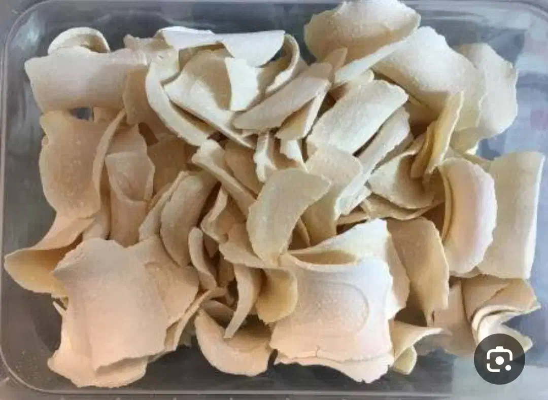فروش انواع کشک گرد دورنگ دوسر پیچ تخته ای|عمده‌فروشی|زاهدان, |دیوار