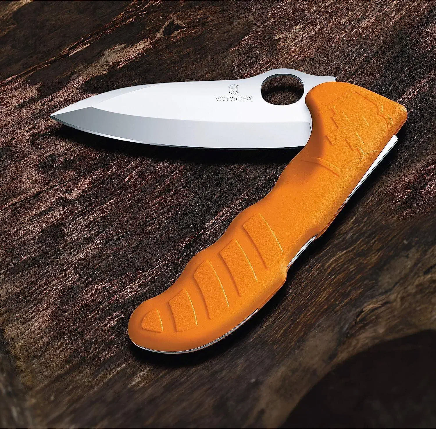 تیزکاری چاقو و کارد و اره|کوهنوردی و کمپینگ|نیشابور, پاستور|دیوار