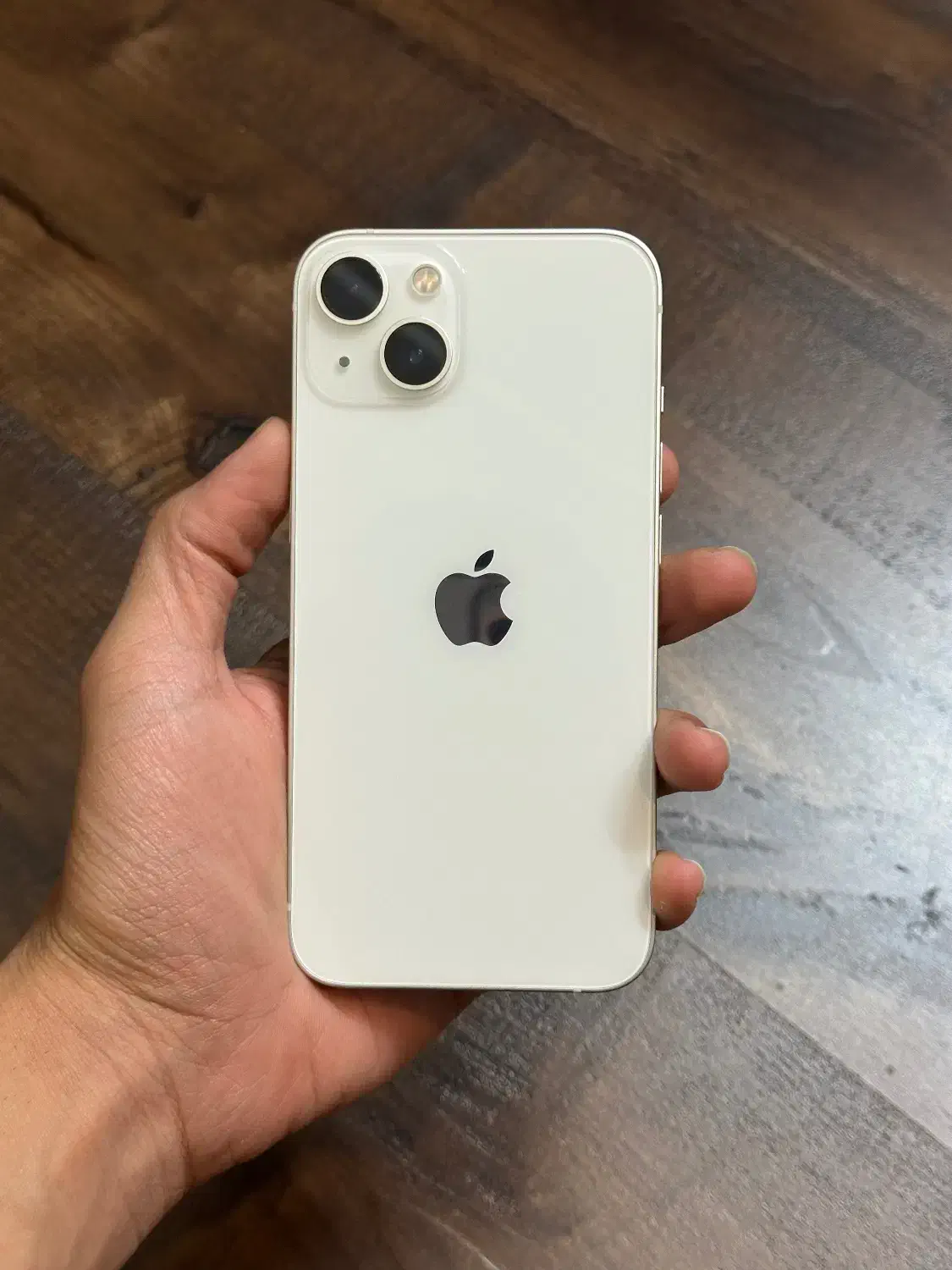 iPhone 13 normal|موبایل|مشهد, فرهنگ|دیوار