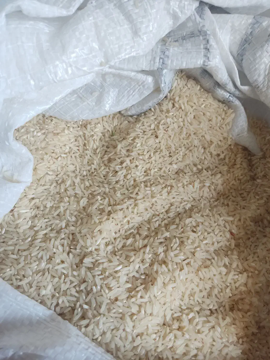 برنج محلی دره شهر|خوردنی و آشامیدنی|دهلران, |دیوار