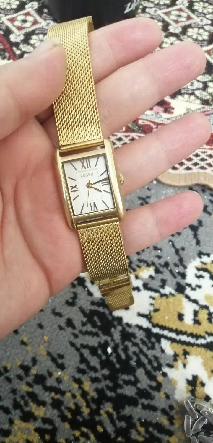 ساعت فسیل های کپی|ساعت|ساری, |دیوار