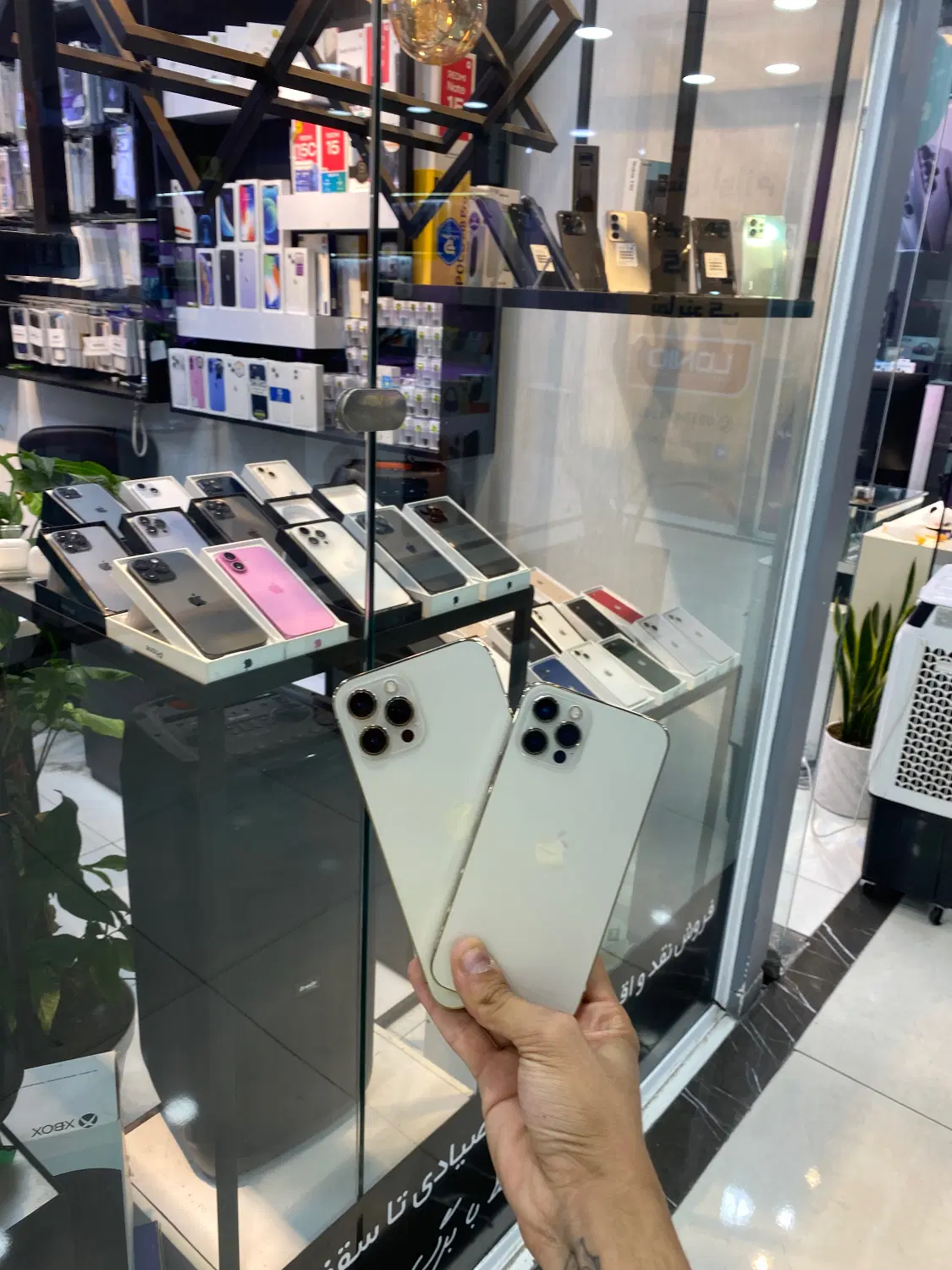 IP 12pro max /pro 256G|موبایل|کرج, مهرویلا جنوبی|دیوار