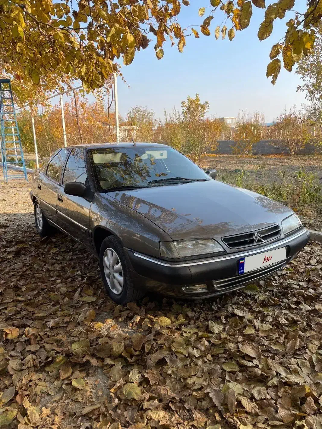 زانتیا ۸۹|خودرو سواری و وانت|ارومیه, |دیوار