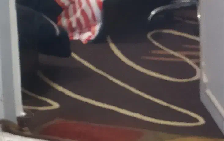 گلیم فرش نه متری|گلیم، جاجیم، گبه|بندر امام خمینی, |دیوار