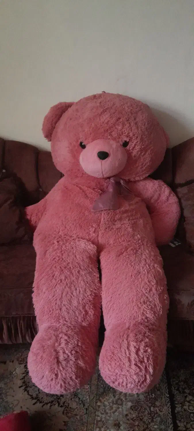 خرس|اسباب‌بازی بچه|کیش, |دیوار