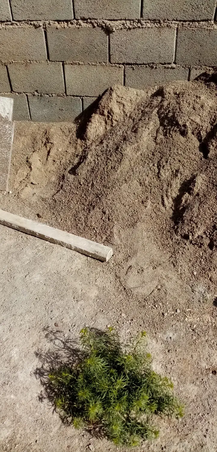 زمین|فروش زمین و ملک کلنگی|اردکان, |دیوار