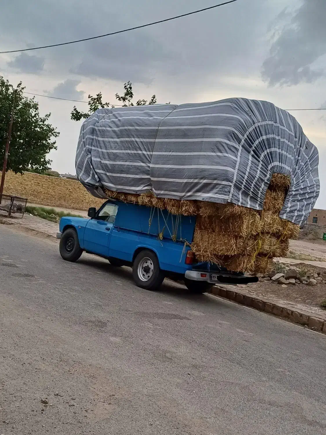 پرس|لوازم جانبی حیوانات|جوین, |دیوار