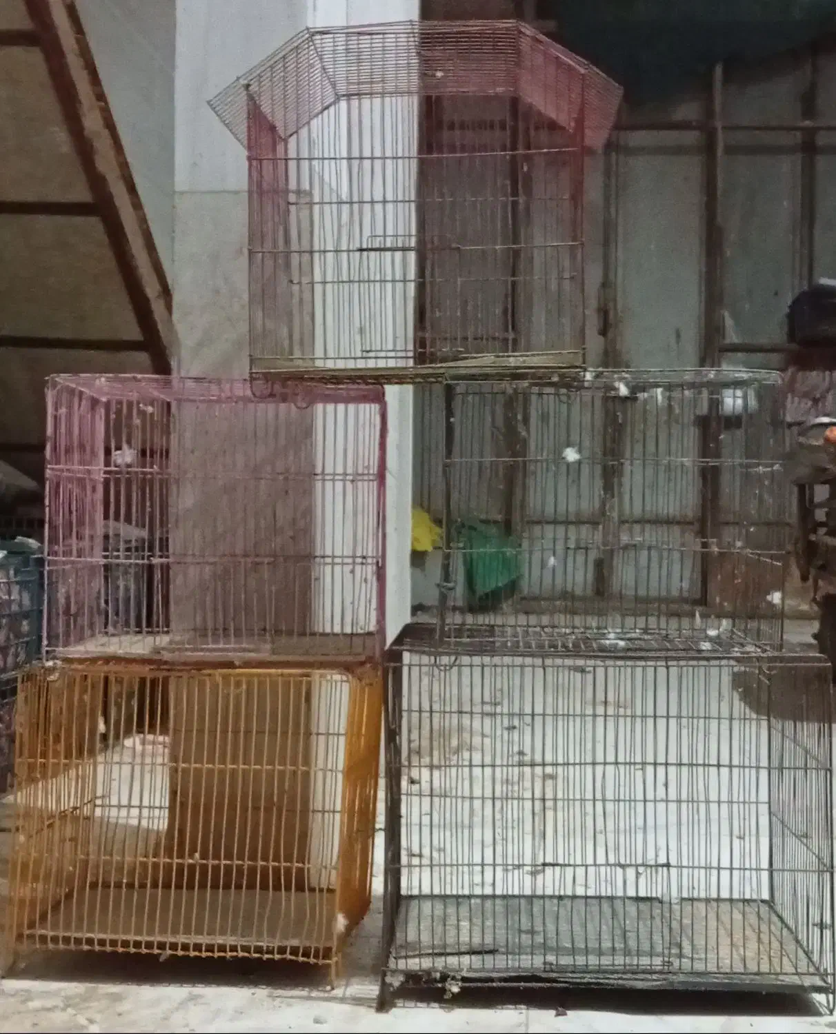 قفس|لوازم جانبی حیوانات|باوی, |دیوار