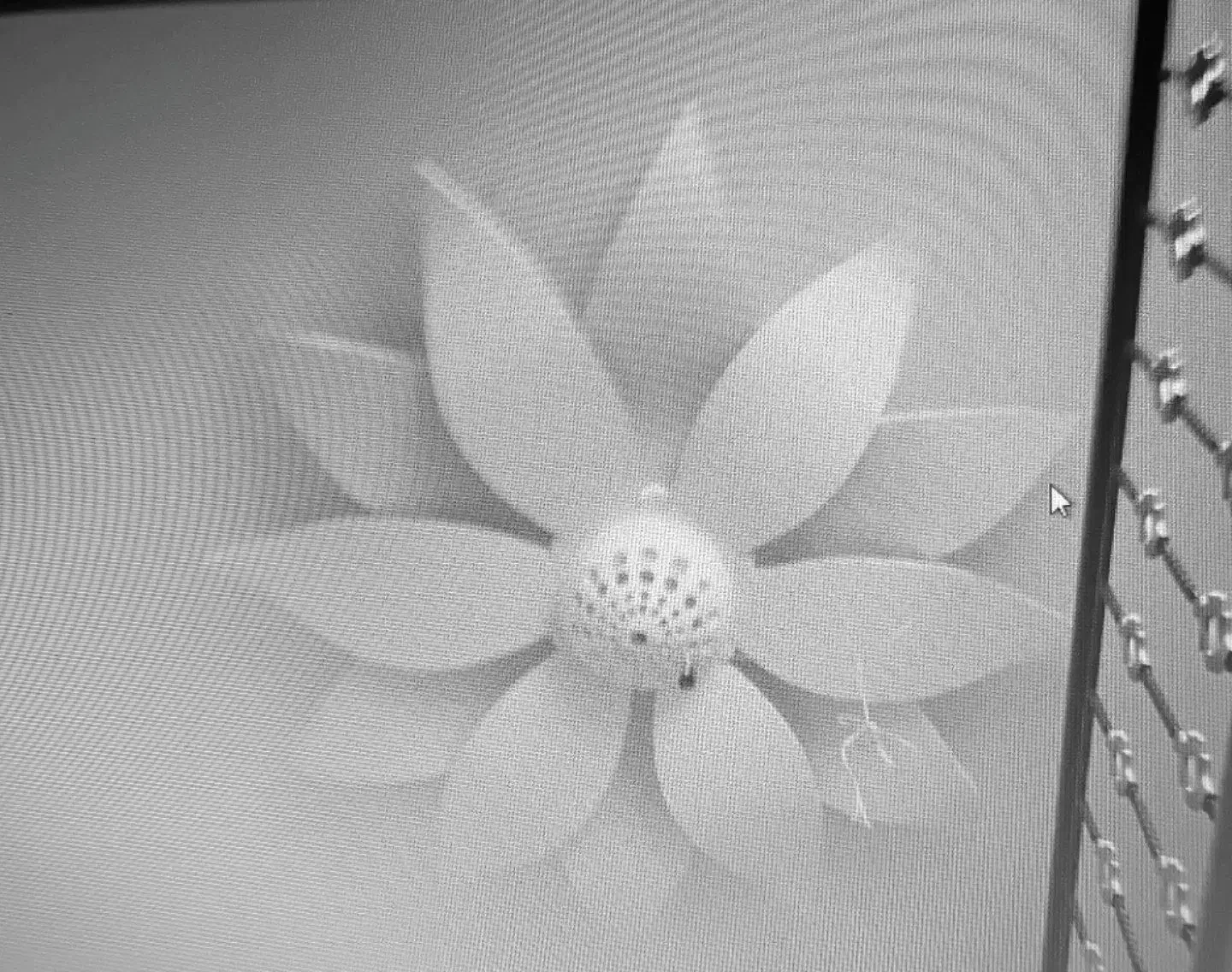 گچ کاری و نقاشی ساختمان|خدمات پیشه و مهارت|سمنان, |دیوار