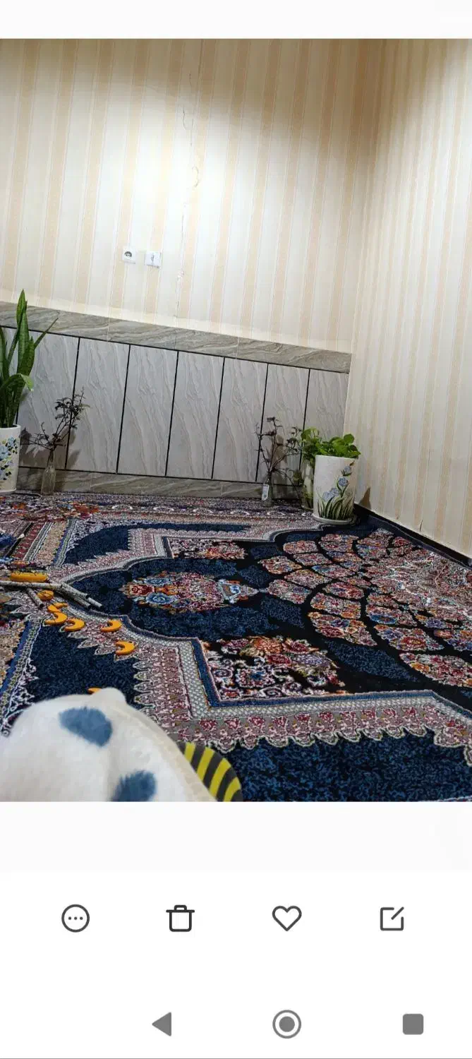 فرش 12متری 2 عدد|فرش|اهواز, حصیرآباد|دیوار