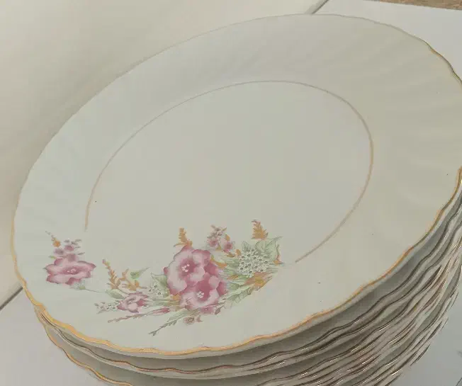 ۱۲ عدد بشقاب چینی گل صورتی|ظروف سرو و پذیرایی|فولادشهر, A3|دیوار