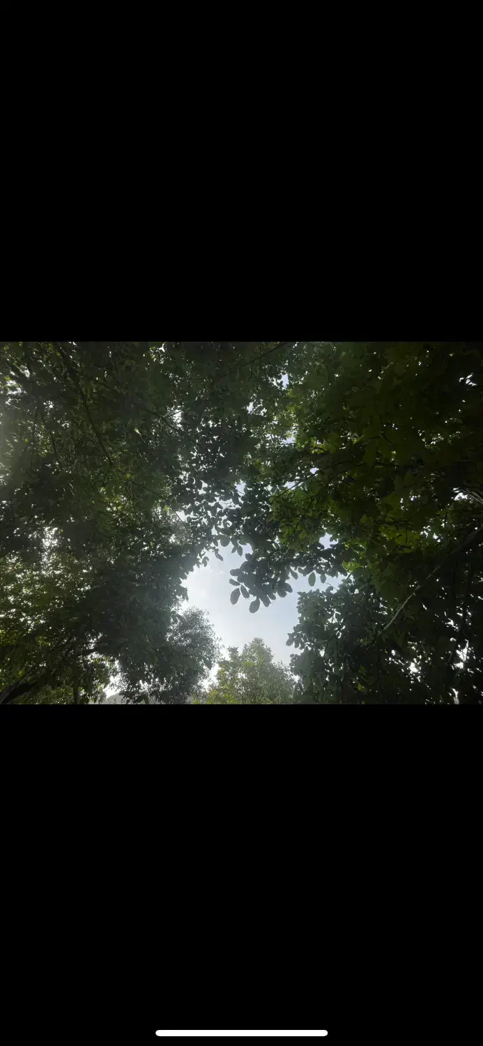 زمین کشاورزی|فروش زمین و ملک کلنگی|نطنز, |دیوار