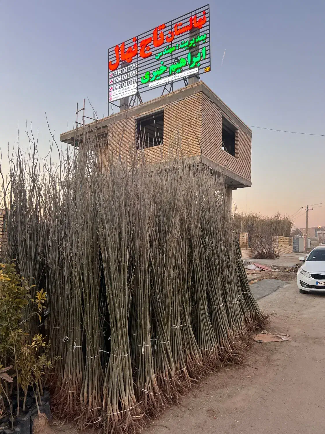 کار دفتری تاج نهال|استخدام اداری و مدیریت|میاندوآب, |دیوار