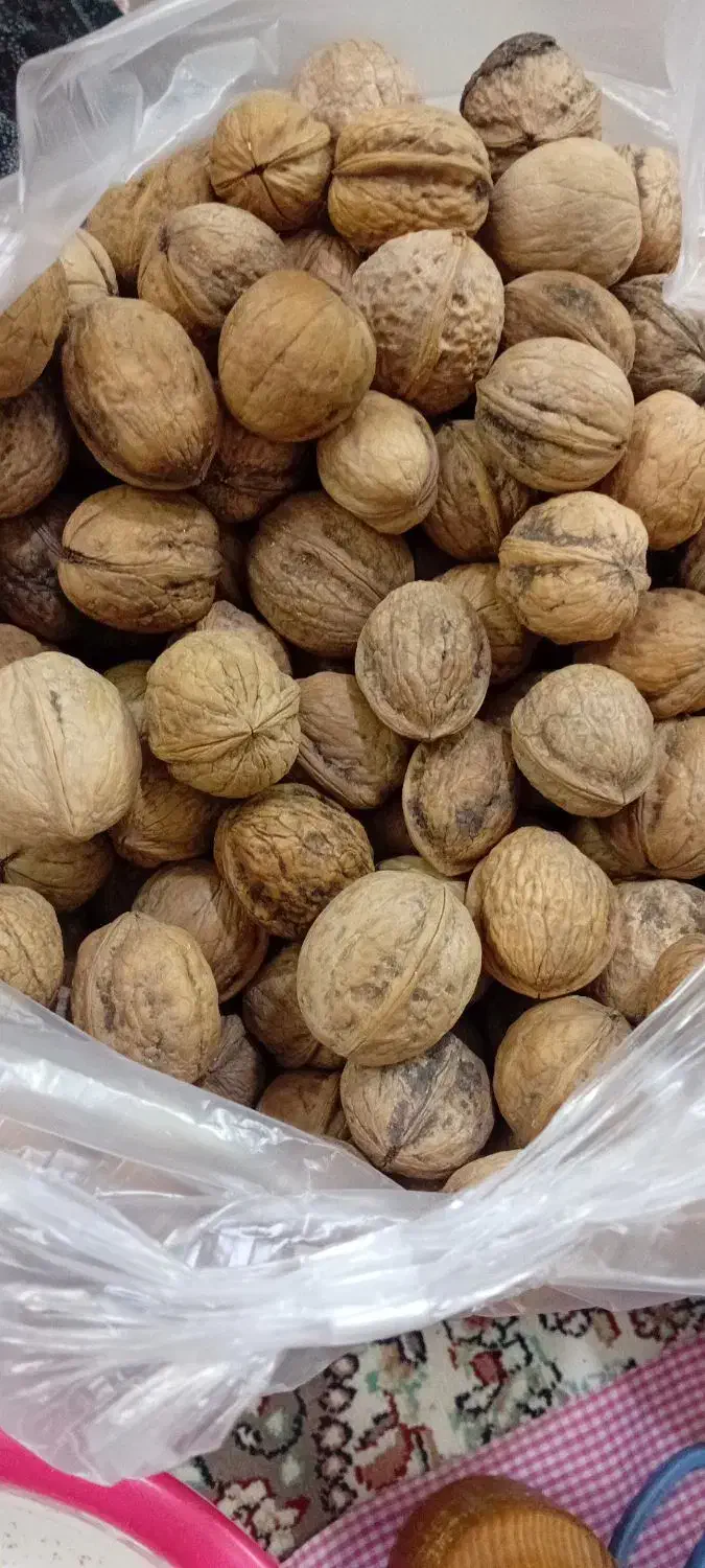 گردوتویسرکان|خوردنی و آشامیدنی|قم, شهدا|دیوار