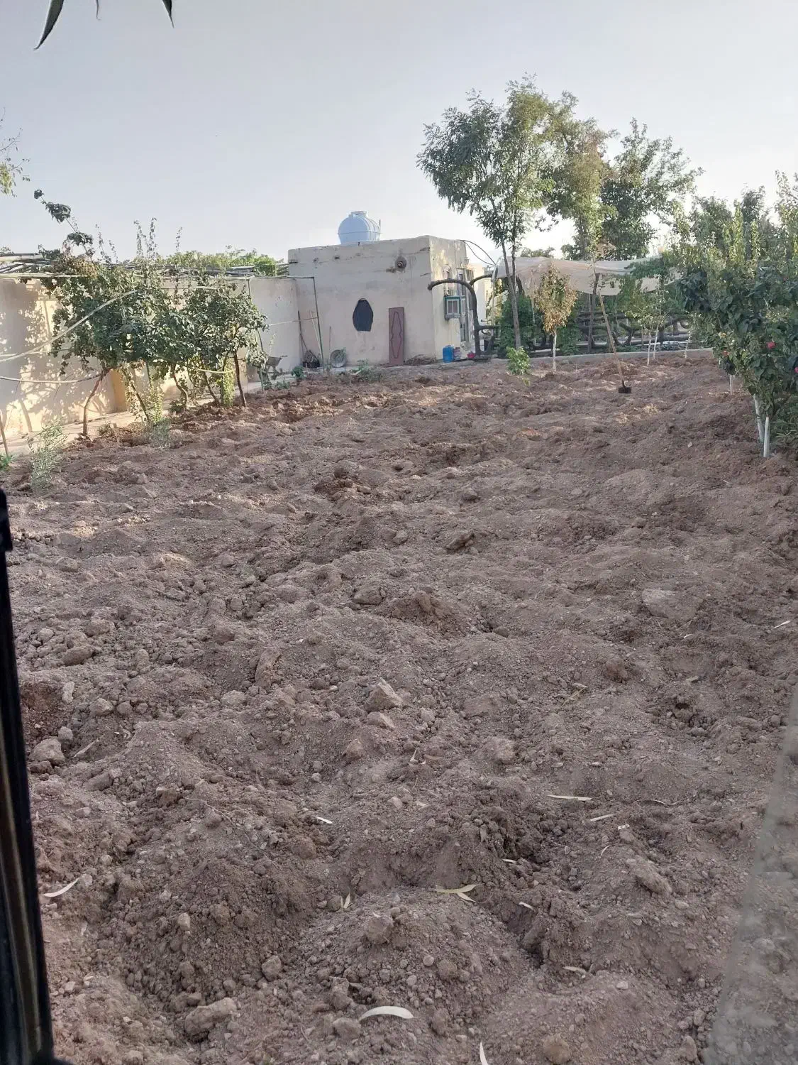 مینی بیل مکانیکی|خدمات حمل و نقل|نجف‌آباد, امیرآباد|دیوار