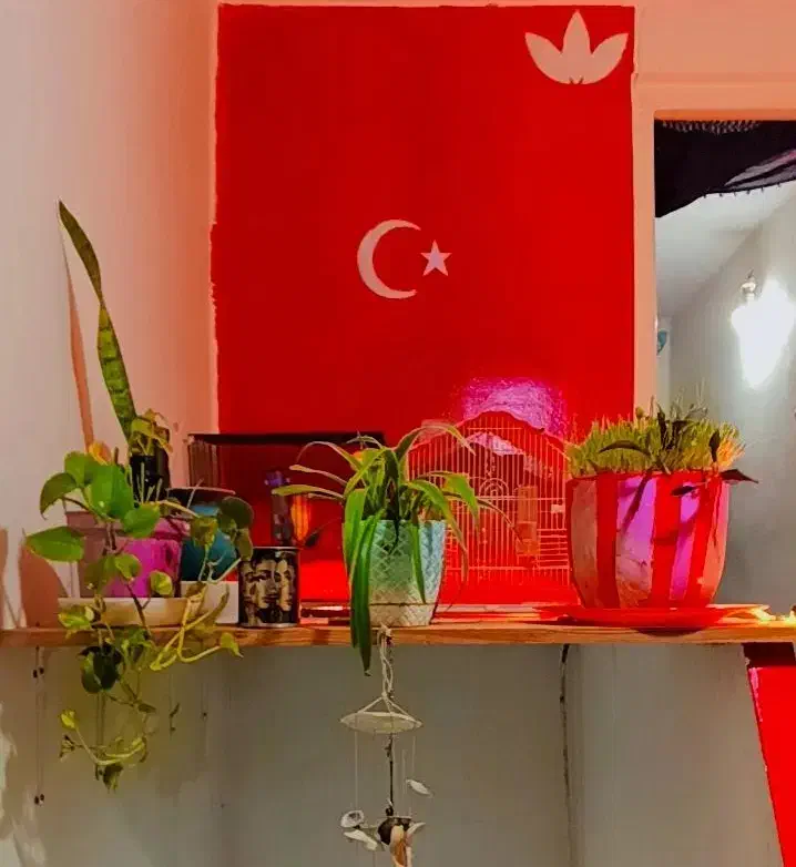اجاره روزانه ماهیانه سوئیت آپارتمان مبله سلسبیل جی|اجارهٔ کوتاه‌مدت آپارتمان و سوئیت|تهران, هفت چنار|دیوار
