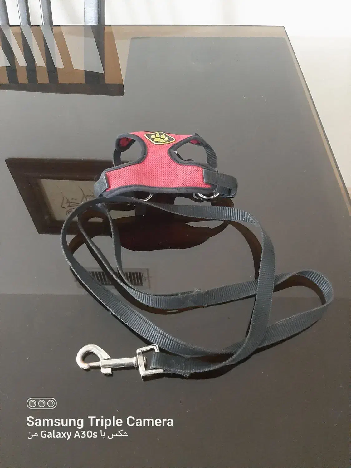 کولی برای سگ کوچک ودو تا قلاده|لوازم جانبی حیوانات|پردیس, فاز ۱۱|دیوار