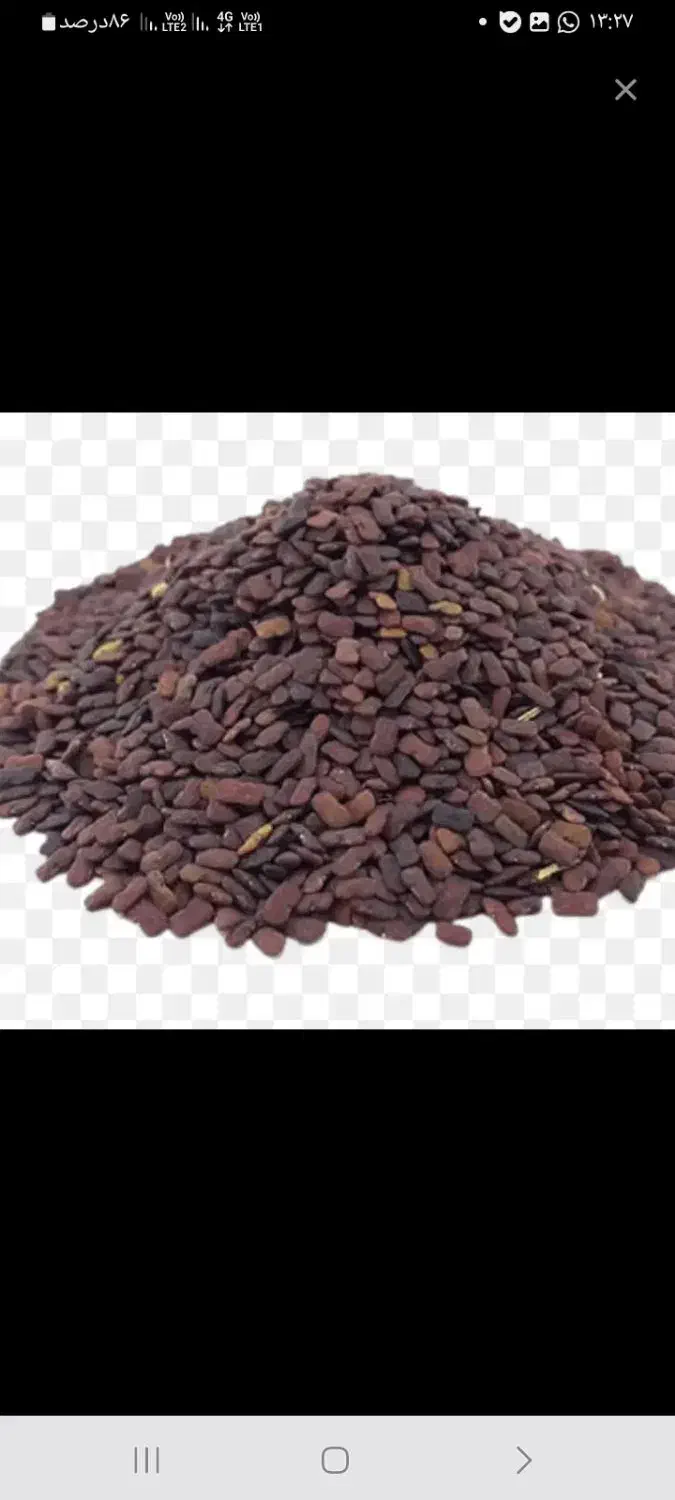 بنی تلخه|خوردنی و آشامیدنی|شیراز, حومه شیراز|دیوار
