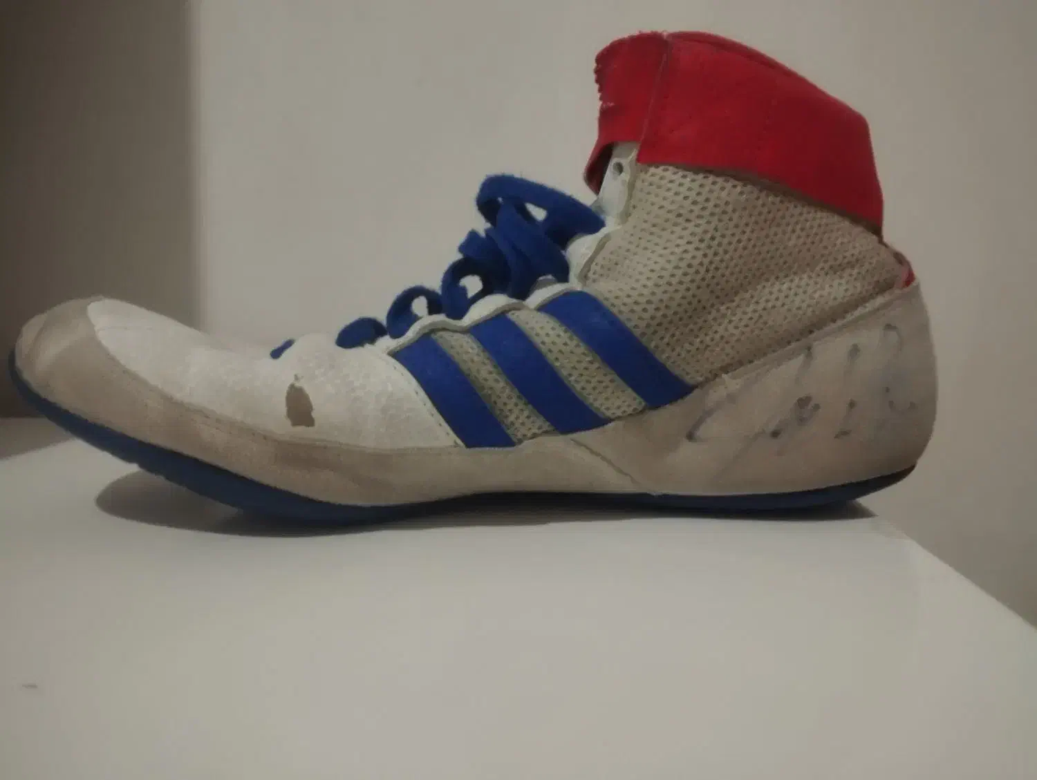 کفش کشتی|کیف، کفش، کمربند|صفادشت, |دیوار